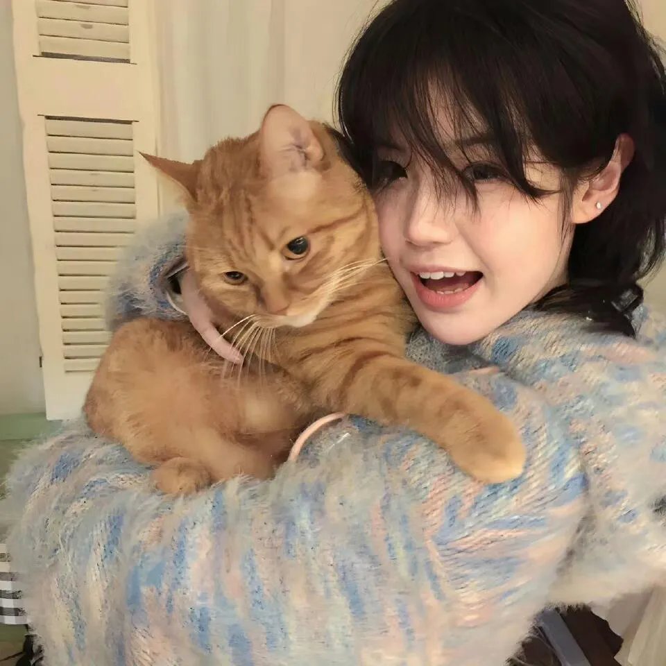 新猛龙过江