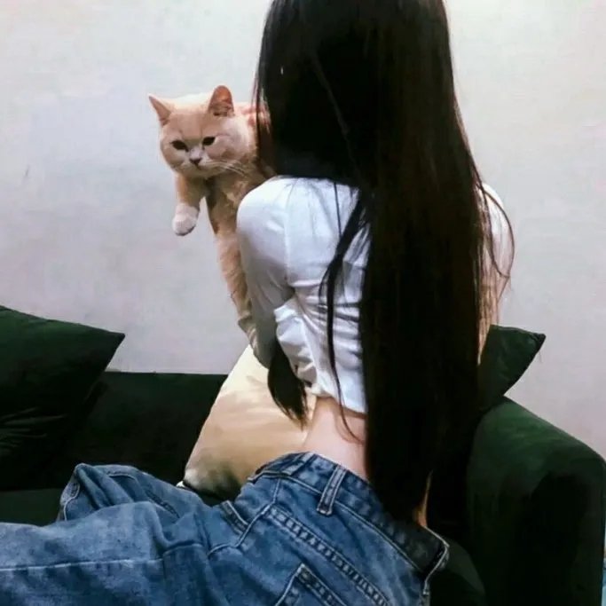 盾之勇者成名录第一季