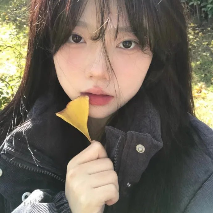 元首的面孔